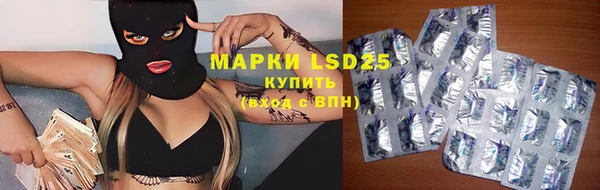эйфоретик Майский