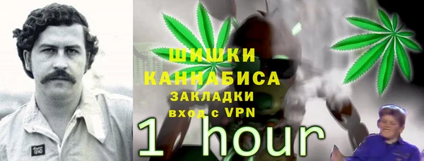 эйфоретик Майский