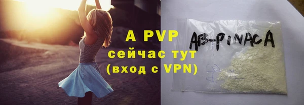 дмт Магас