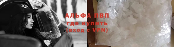эйфоретик Майский
